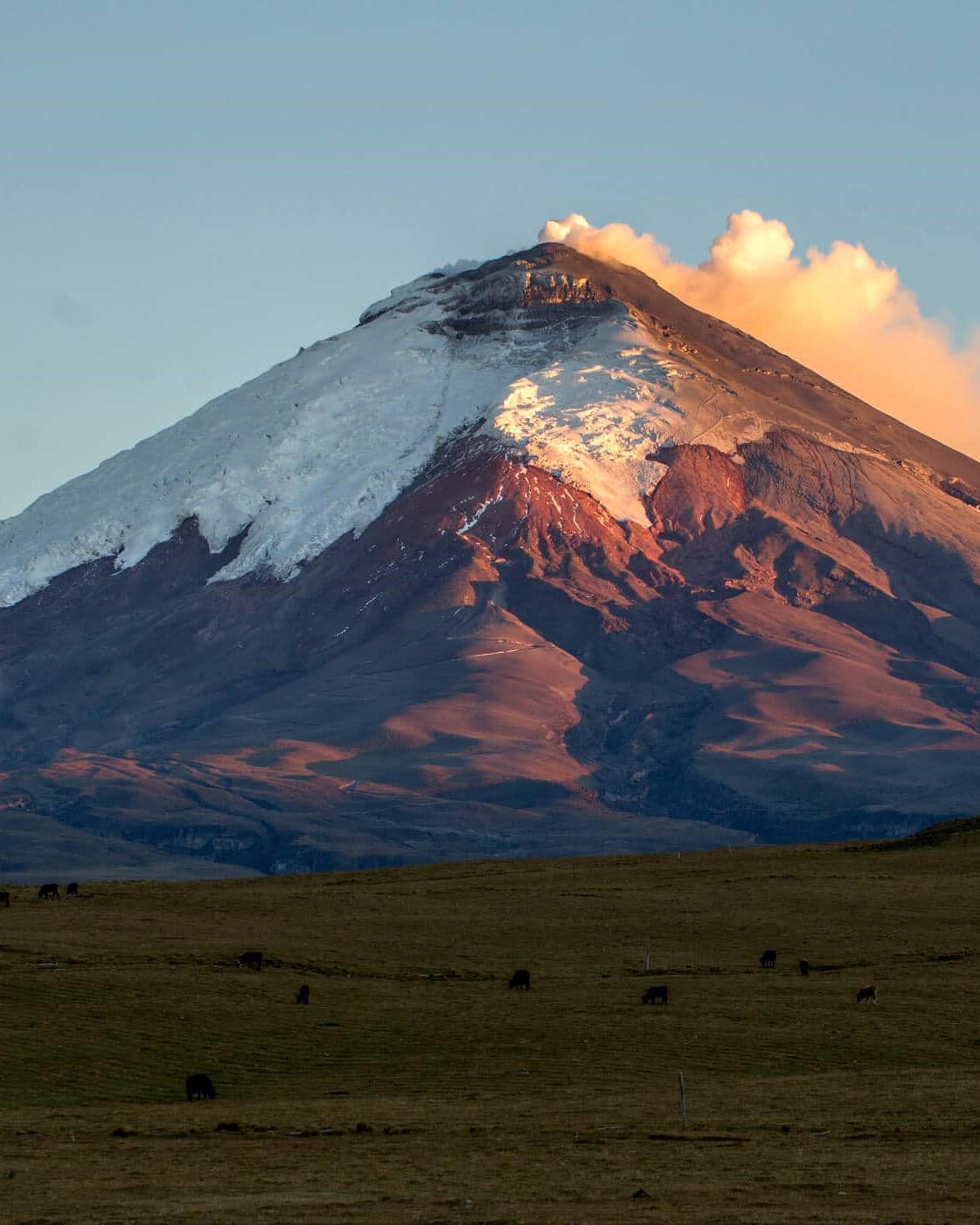 cotopaxi